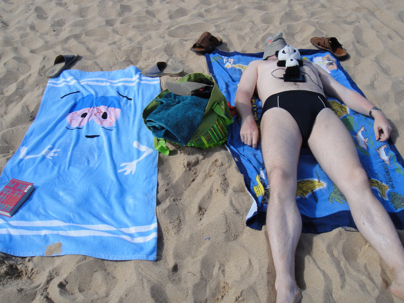 панда и полотенчик на пляже