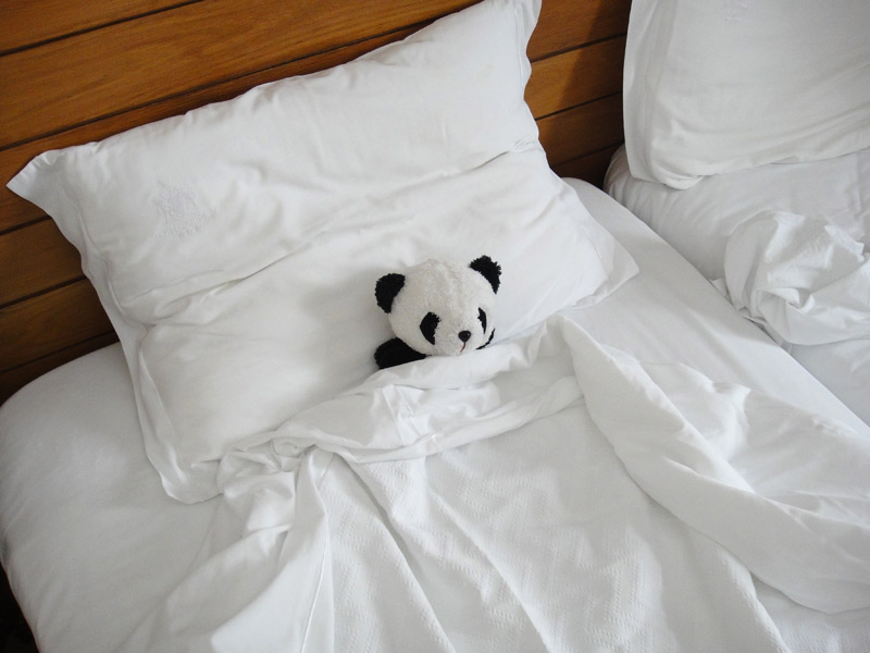 спящая панда