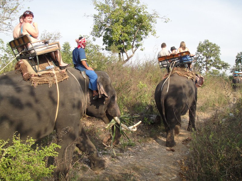 деревня слонов тайланд
