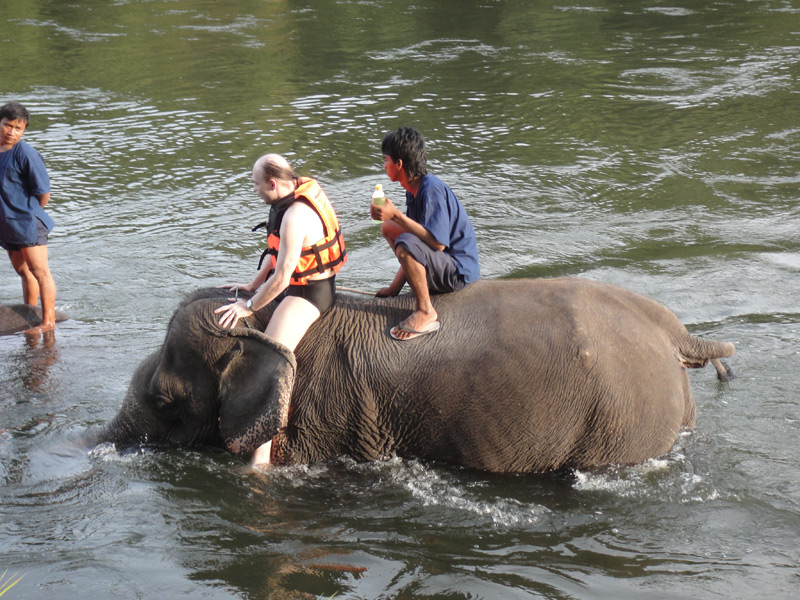купание со слонами
