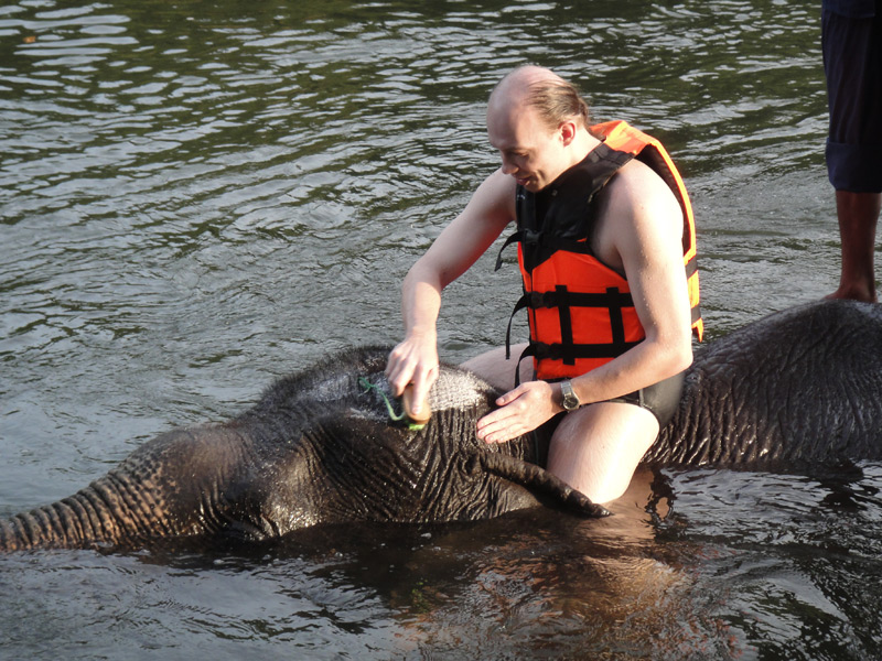купание со слонами тайланд