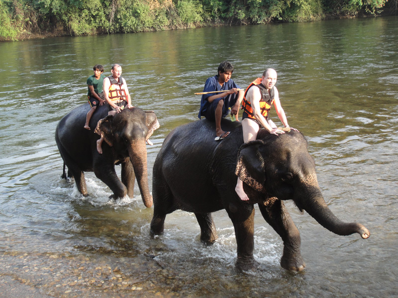 купание со слонами квай