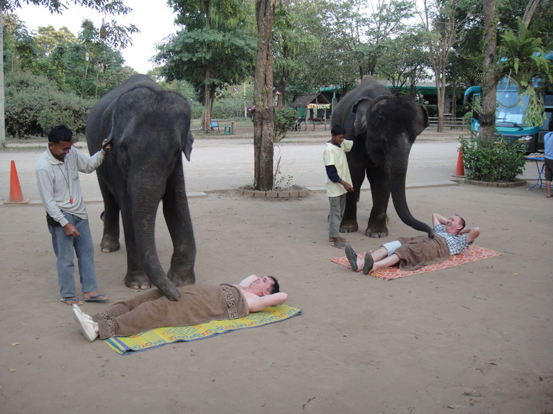 шоу слонов тайланд