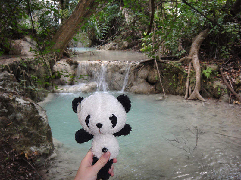 панда на водопадах