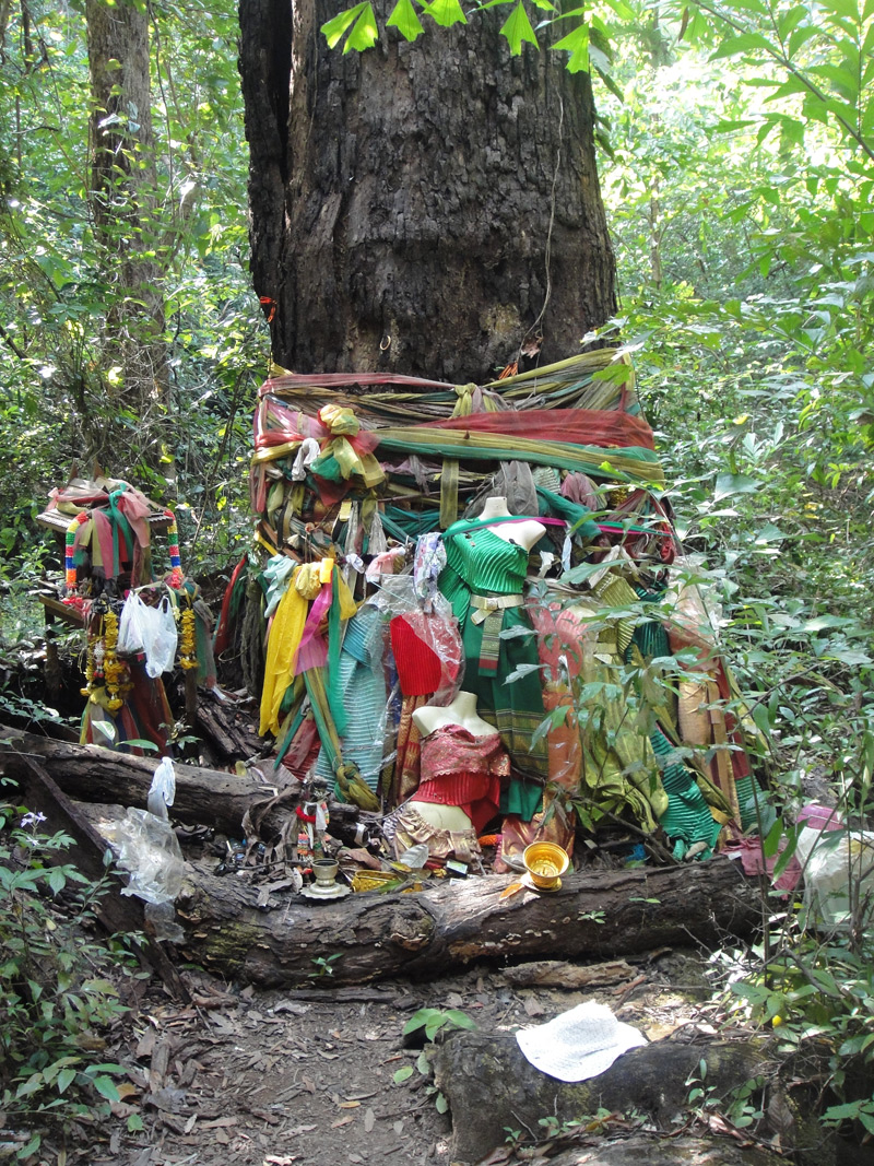 дерево духов тайланд