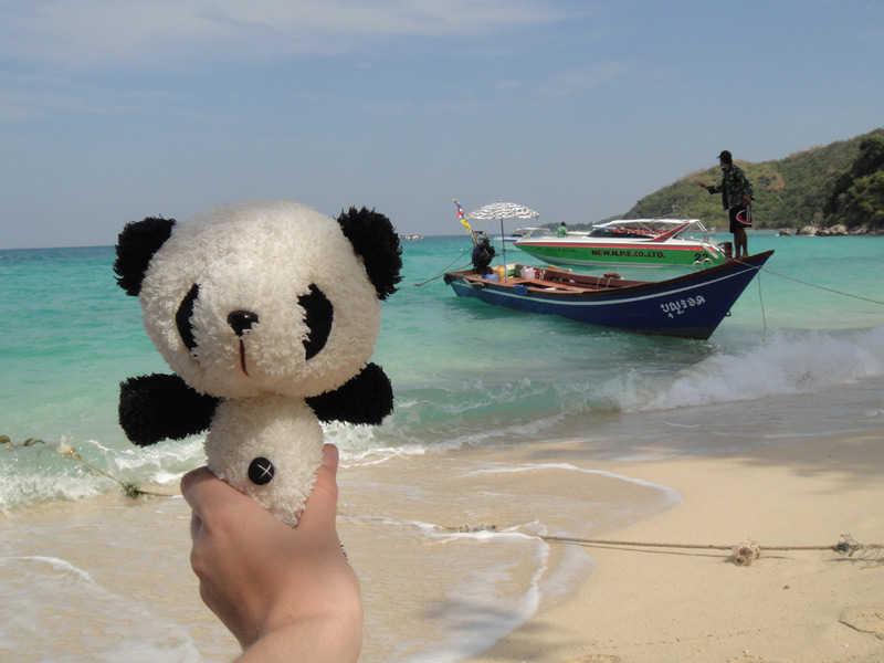 панда на островах