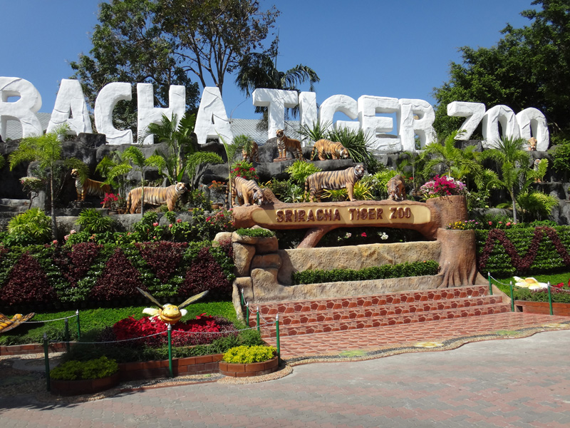 тигриный зоопарк в тайланде