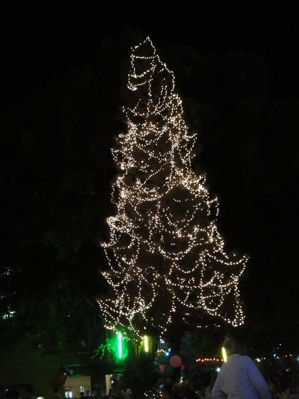 новогодняя елка в тайланде