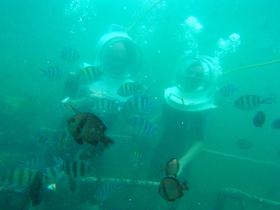 под водой с рыбками бали