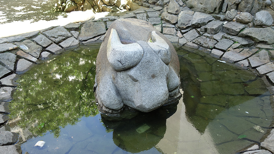 фонтан с буйволом