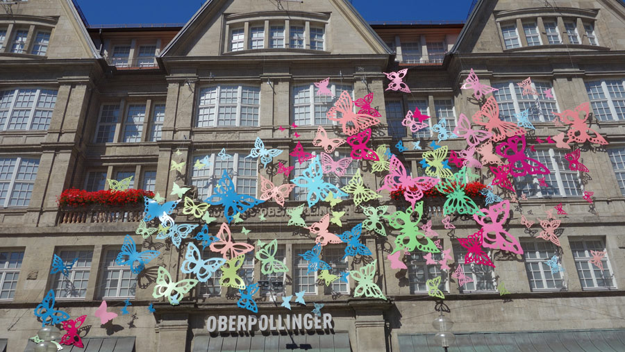 дом с бабочками на Мариенплатз в Мюнхене, Германия