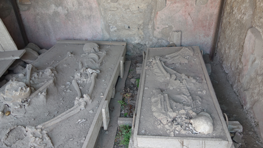 скелеты жителей Помпей