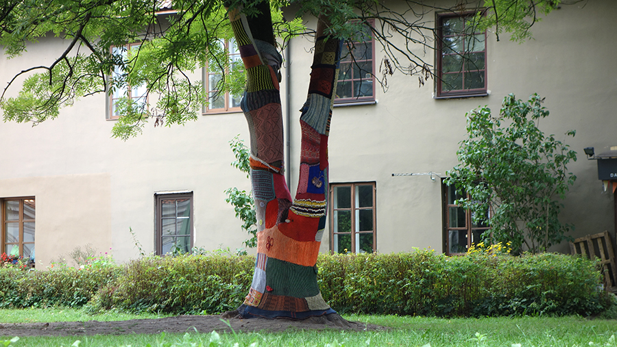 обвязанные деревья в Вильнюсе