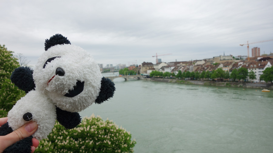панда в Базеле, Швейцария