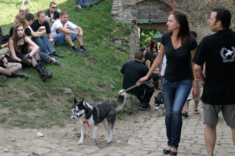 готята castle party 2010