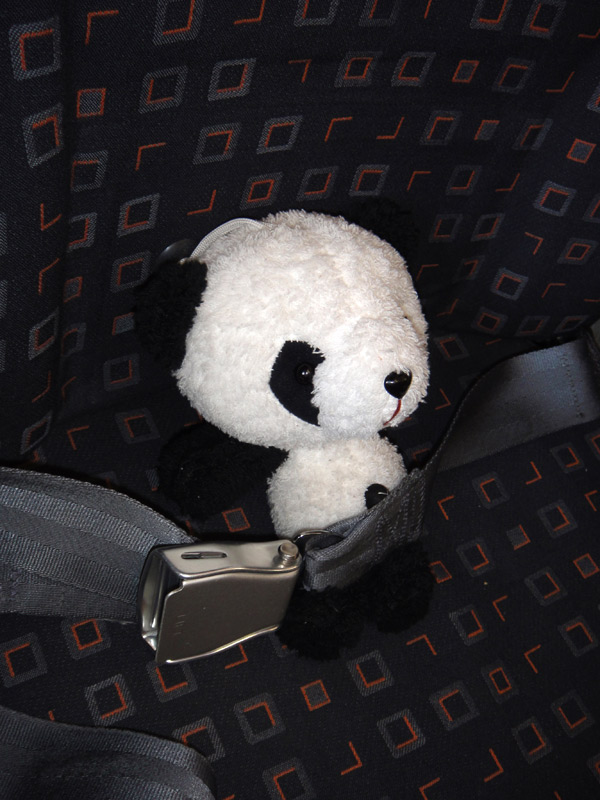 панда в самолете