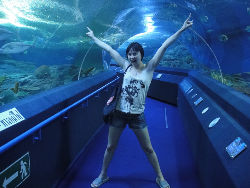 underwater world pattaya