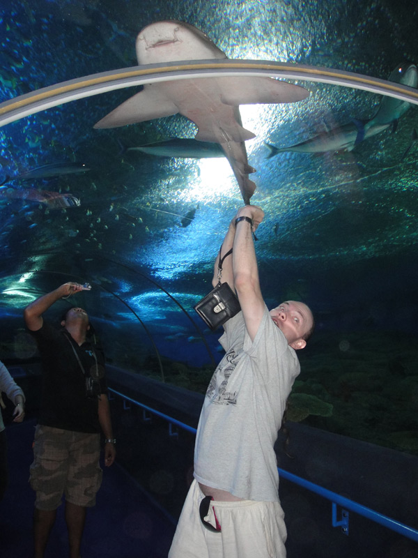 underwater world pattaya