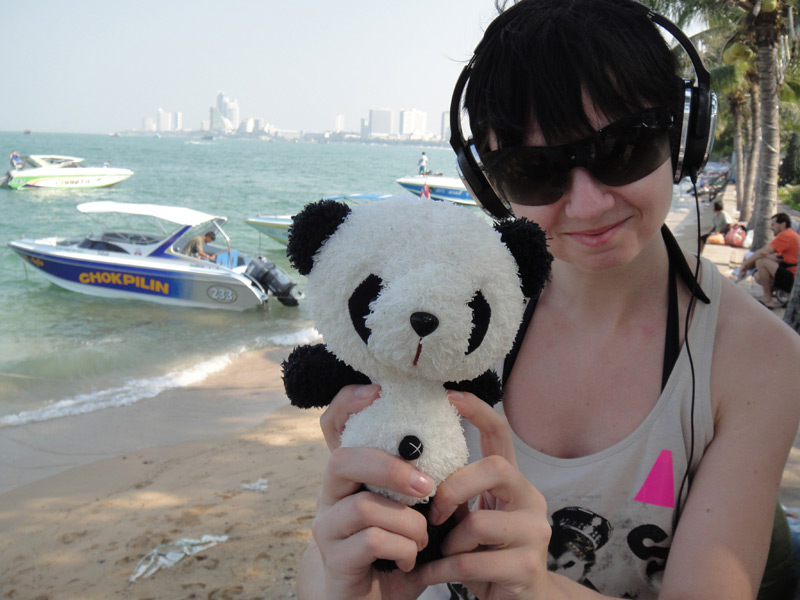 панда в тайланде