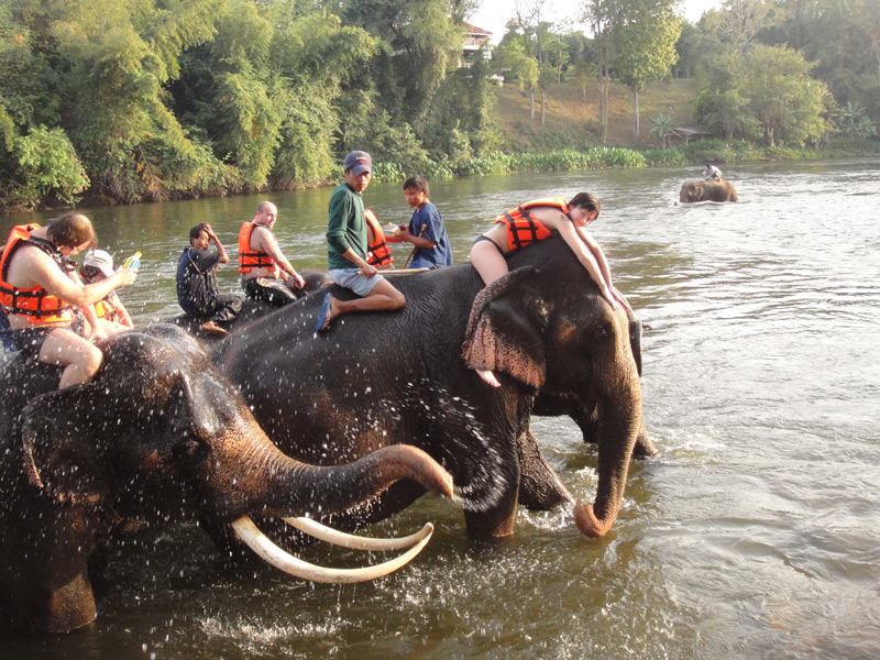 купание со слонами