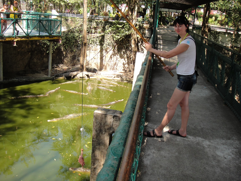 вольер с крокодилами тайланд