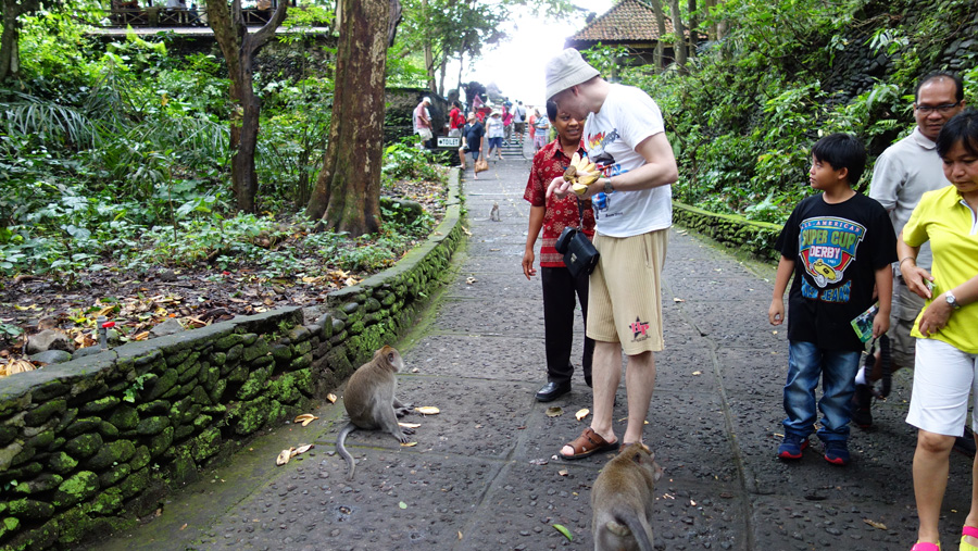 ubud monkeys bali