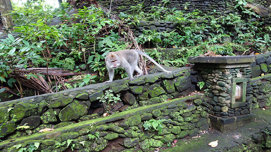 ubud bali