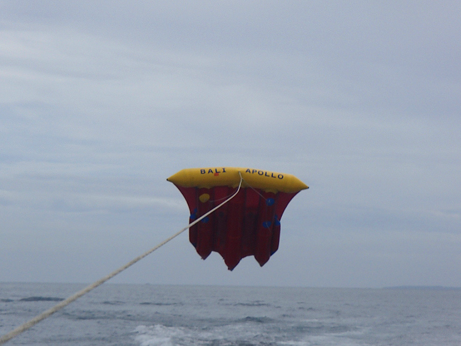 water fly bali