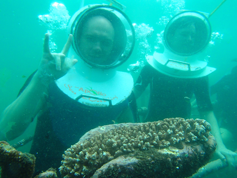 подводный мир бали