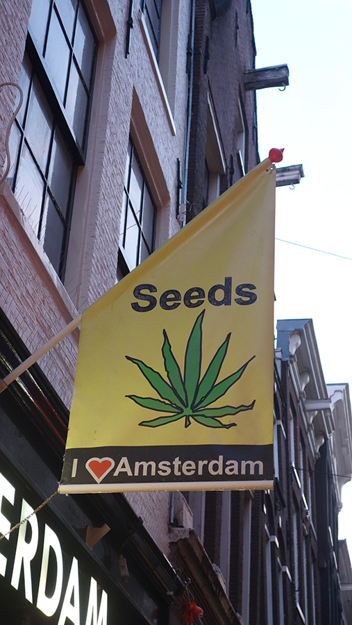 I love Amsterdam