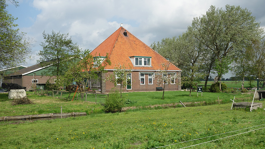 голландские дома