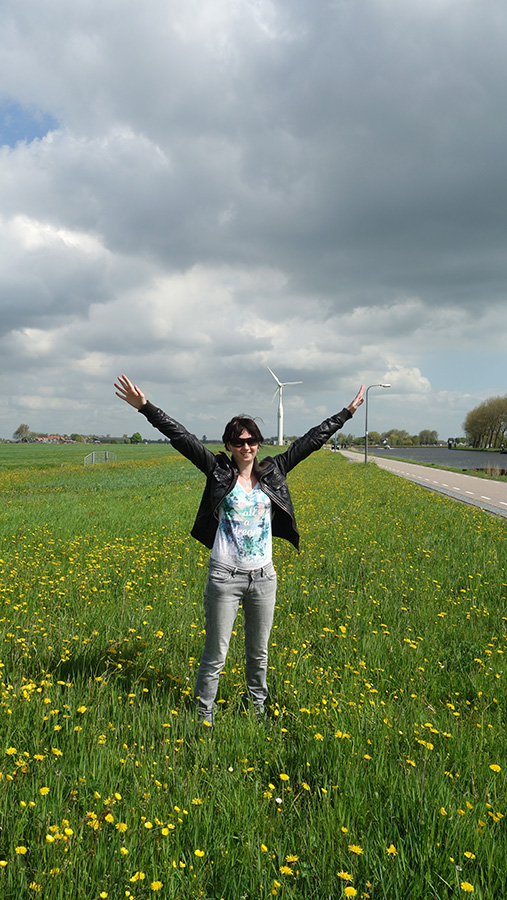 Голландские поля, цветы и мельницы
