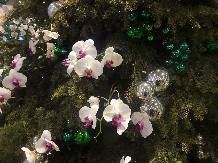 новогодняя елка с орхидеями