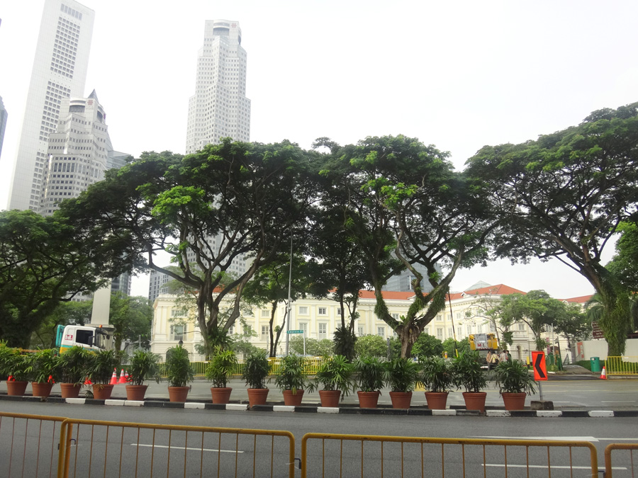 растительность сингапура