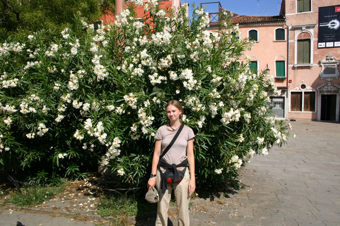 венецианская растительность