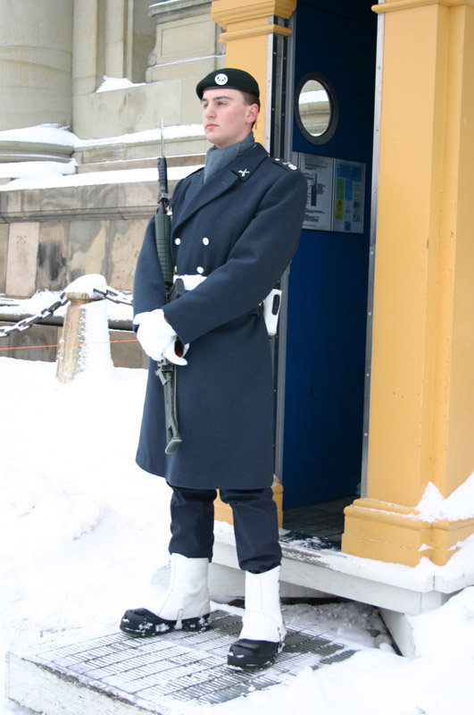 королевская охрана стокгольм